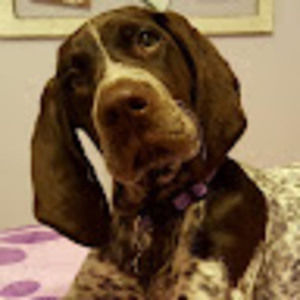 Meet your Posher, Katherine